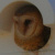 Owl nest box resources