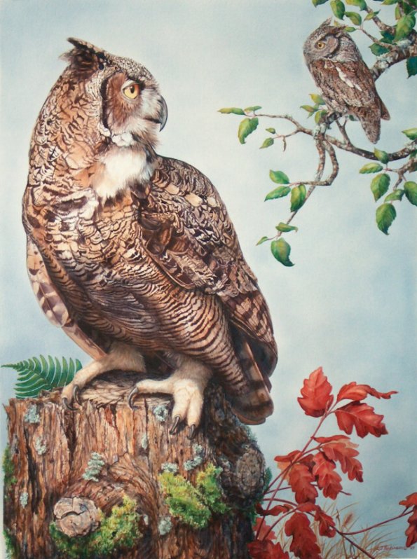 Great Horned Owl and Western Screech Owl painting
