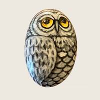Snowy Owl Original Hand Painted Stone