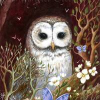 Owl print - The Traveller