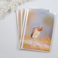 Burrowing Owl Note Cards, Set of 5 Owl Notecards, Blank Cards, Bird Stationery, Greeting Car...