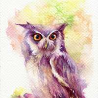 PRINT –Owl Watercolor painting 7.5 x 11”