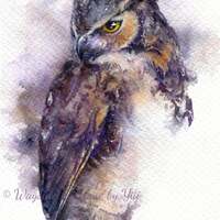 PRINT - Horned Owl - Watercolor painting 7.5 x 11