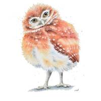 Little Owl Watercolor Painting by Christy Barber |Owl Watercolor Print, Owl Watercolor Print...