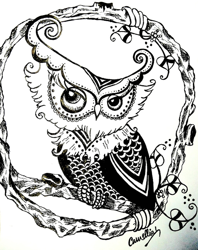 Dreamy Owl drawing