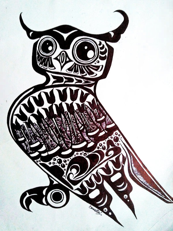 Haida Owl drawing