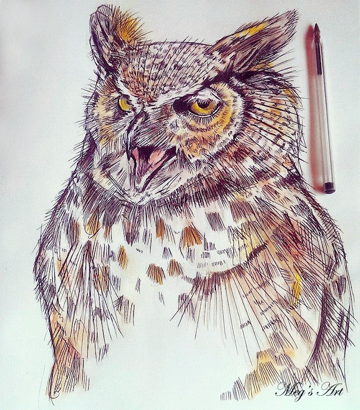 Owl artwork by Megan Humphries - The Owl Pages