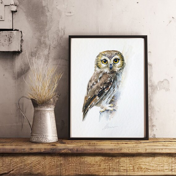 Northern Saw-whet Owl, Watercolor Painting Birds, Fine Art Print, Nature Art, Collection, Home Decoration, Wall decor