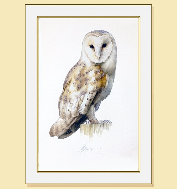 Barn Owl, Watercolor Painting Birds, Fine Art Print, Nature Art, Collection, Home Decoration, Wall decor