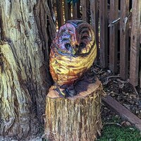 Barred Owl Garden Statue, Owl Yard Art & Home Decor, Chainsaw Art, Carved Barred Owl Sta...