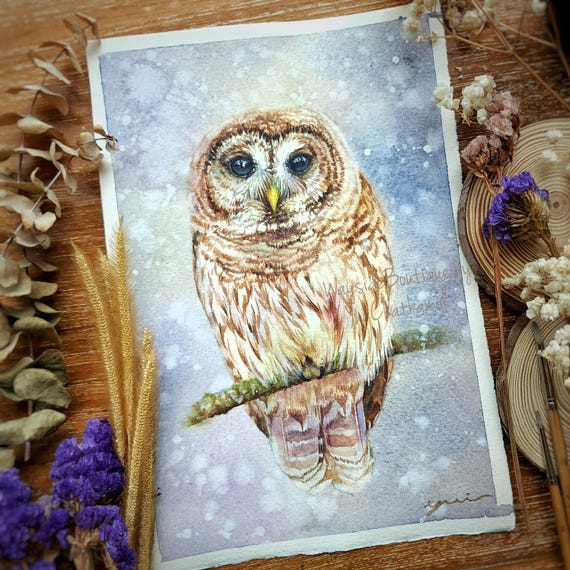 Barred Owl in snow- ORIGINAL watercolor painting 7.5x11 inches, Hand-painted by Yui Chatkamol, wall art, Wildlife  decor