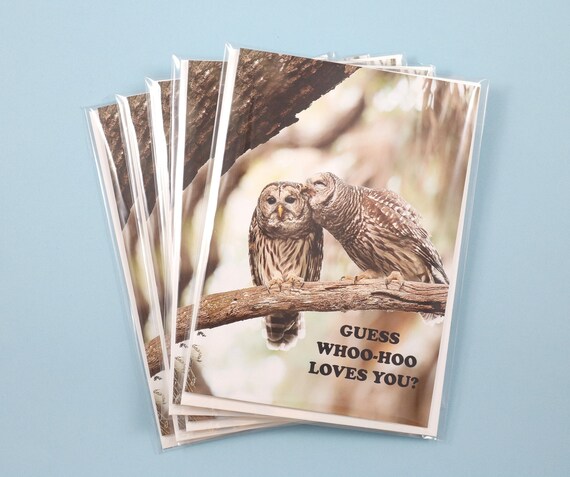 Barred Owl Note Cards, Set of 5 Owl Photo Notecards, Blank Cards, Bird Stationery, Greeting Card, "Guess Whoo-Hoo Loves You?," Kissing Owls