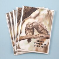 Barred Owl Note Cards, Set of 5 Owl Photo Notecards, Blank Cards, Bird Stationery, Greeting ...