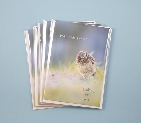 Burrowing Owl Note Cards, Set of 5 Bird Notecards, Blank Nature Cards, Owl Stationery, Owl Greeting Cards, Bird Photography, Thinking of You