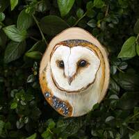 Barn owl painting on a recycled wood slice