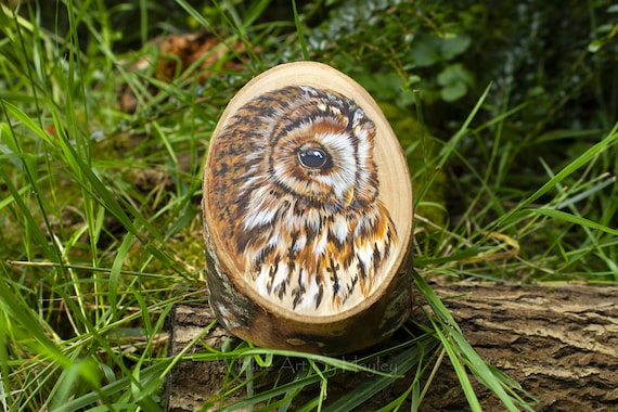 Tawny owl, painted on a recycled cherry wood stump.