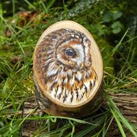 Tawny owl, painted on a recycled cherry wood stump.