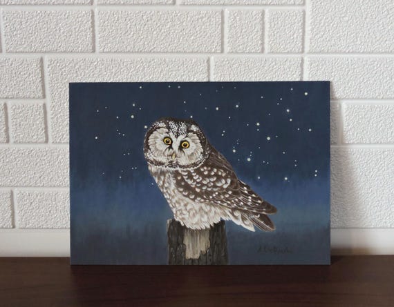 Boreal owl, an original painting of an owl.