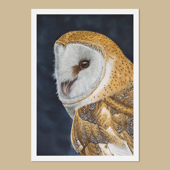 Barn owl art prints, A3 & A4 sizes, Tyto alba, Owl painting, Gift for owl lover, Bird of prey wall art, British wildlife art, Bird art