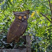 Brown Owl Garden Decor & Metal Owl Statue, Outdoor Owl Decoration Yard Decor, Metal Owl ...