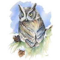 Screech Owl on Snowy Pine Branch by Christy Barber | Animal Painting, Bird Watercolor, Winte...