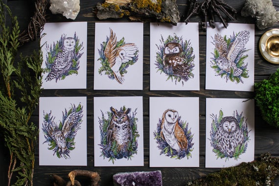 Owl Set of 8 Art Prints A6, Woodland Forest Habitants Postcards Set