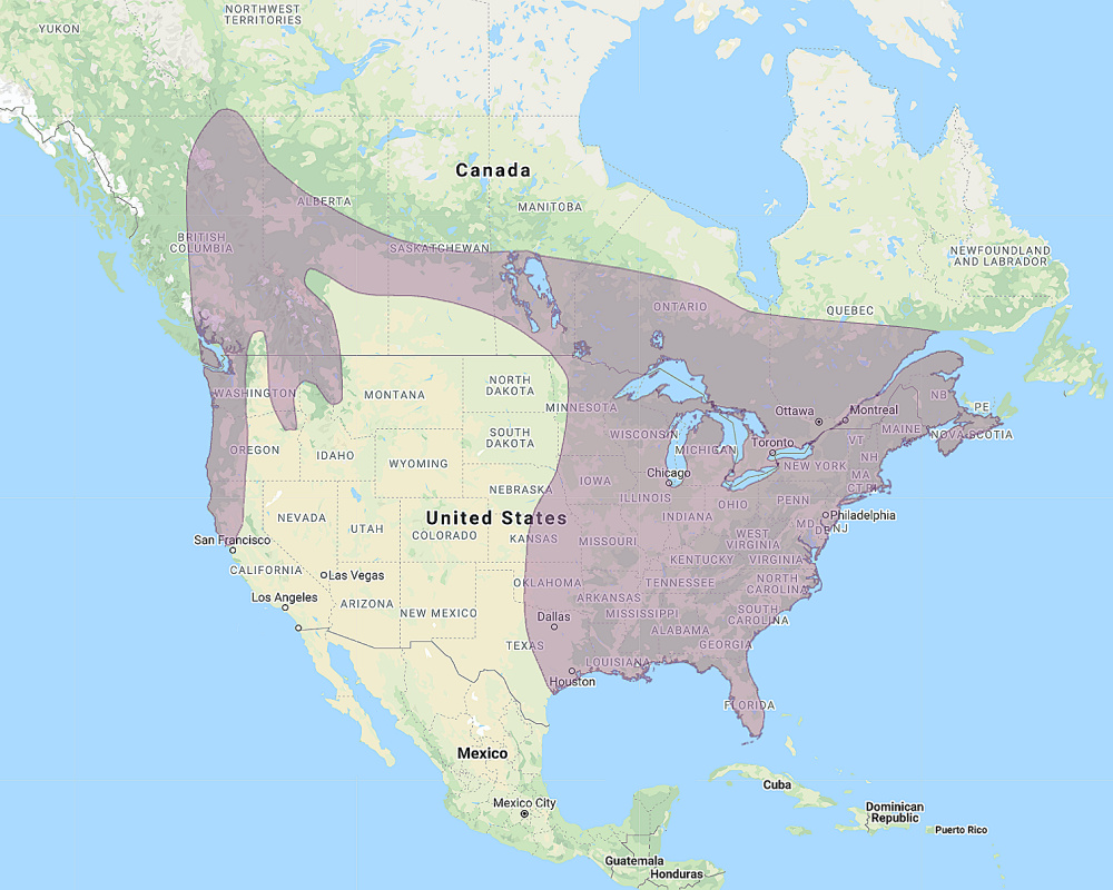 Área de distribución del búho barrado (Strix varia)